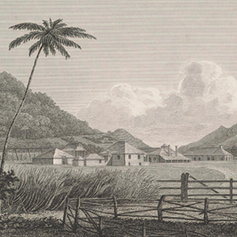 Engraving of landscape with large house and palm tree